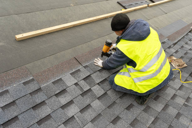 Best Solar Panel Roofing Installation  in Shawsville, VA