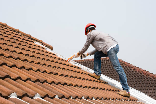 Best Metal Roofing Installation  in Shawsville, VA