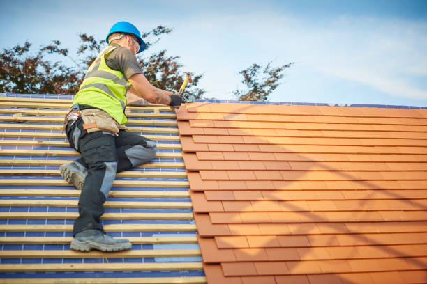 Best Roof Replacement  in Shawsville, VA